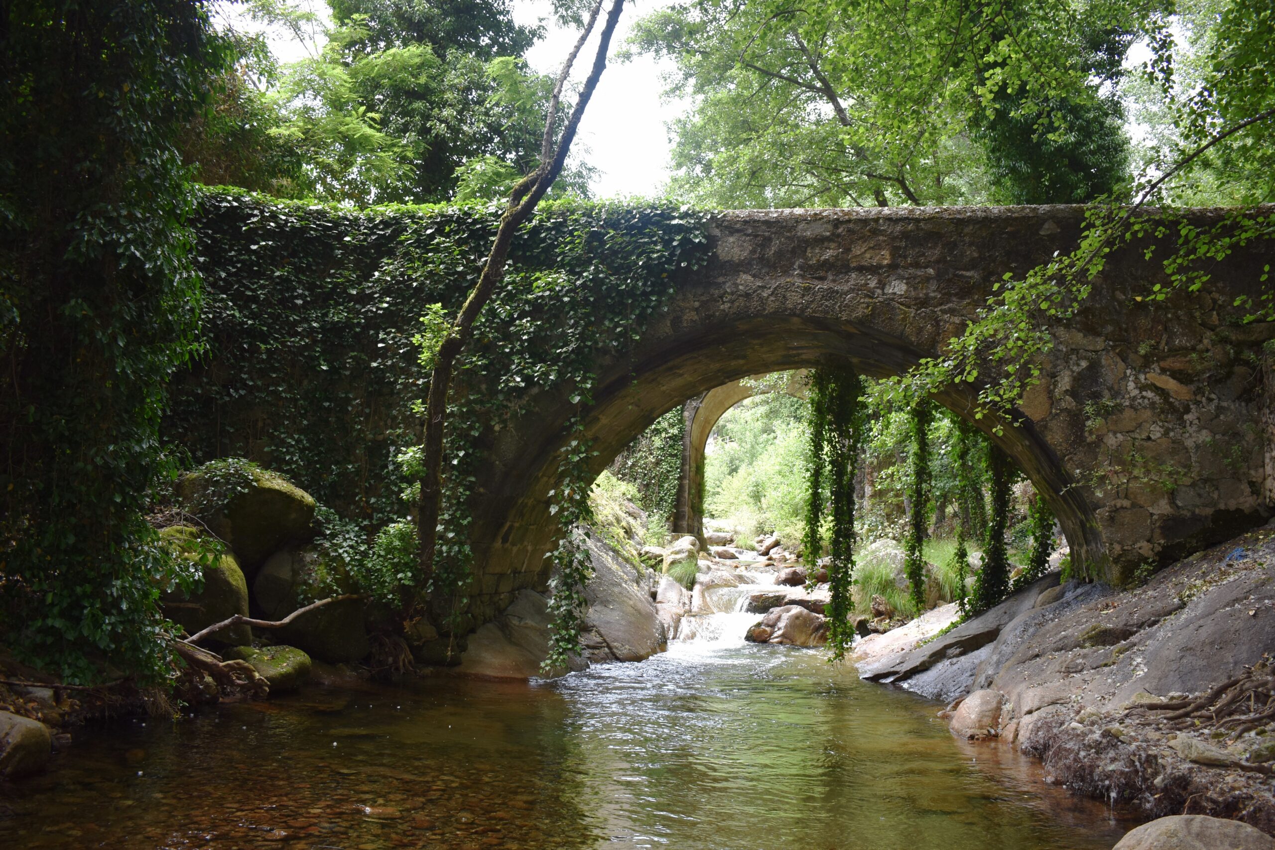 El Rincón de la Jara Jarandilla de la Vera